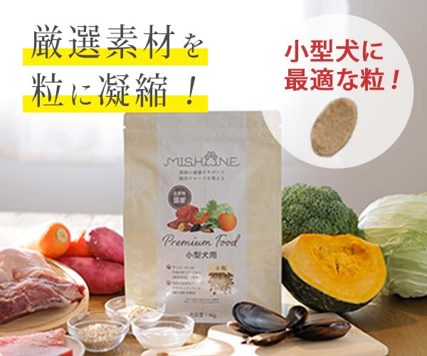 🐶【食いつき・健康を徹底追求】ネルソンドッグフードは小型犬・シニア犬に最適！奇跡の貝『緑イ貝』とだしの香りで長寿をサポート【PR】